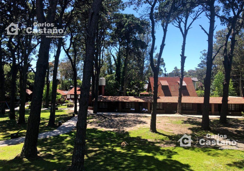 7259887_48186009193510056714850724964726505266698136457341996779460071082685494852213