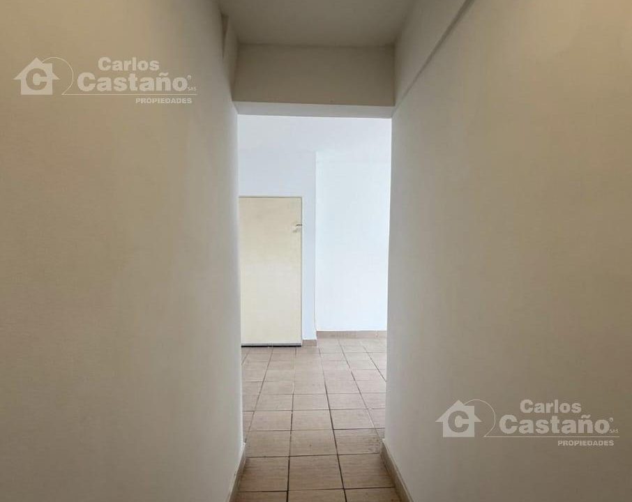 7288540_1698552160538742169186950307003936658427821537381376145352508443638676797260