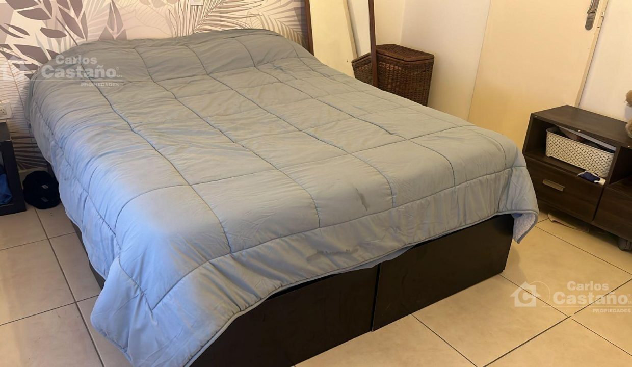 7353334_24029636313345602382810668556784184931937655718063665023638413470848524039349