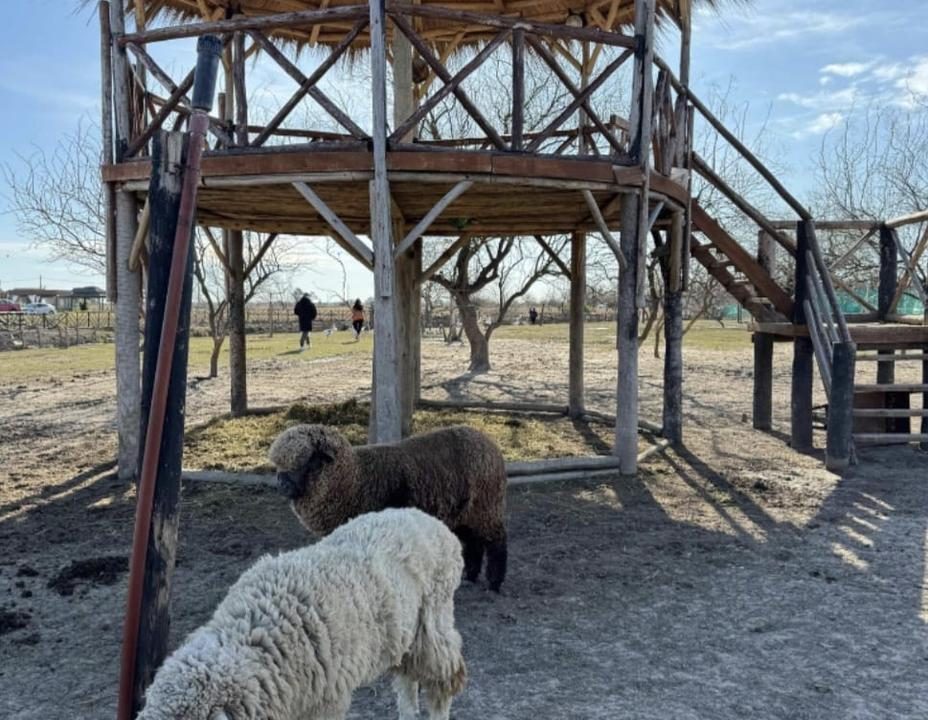 7382565_71434820977114376700497953152921405048269457922768600569712526942354084498700