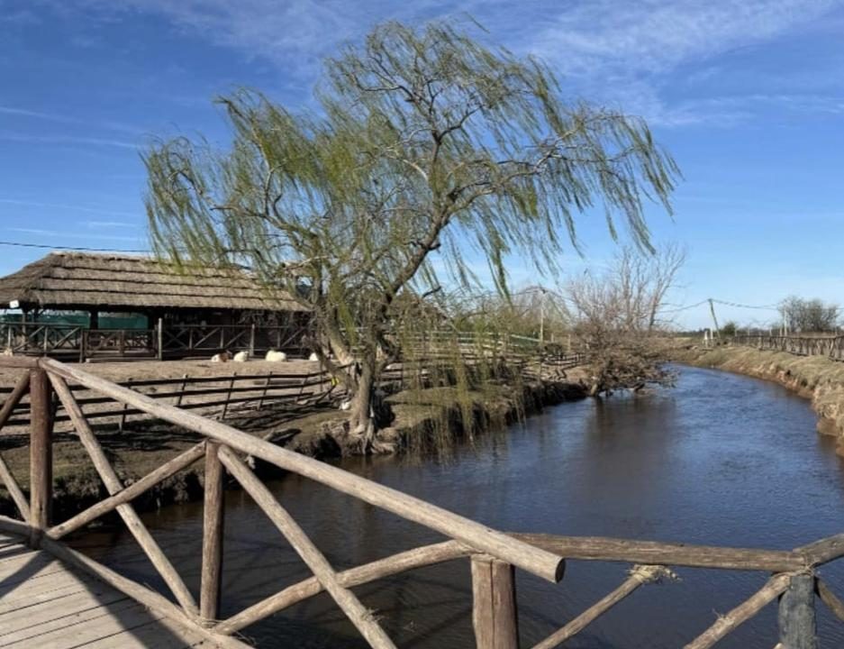 7382565_79557668152462755397515790295848543683989952644962151370306513369256793231463