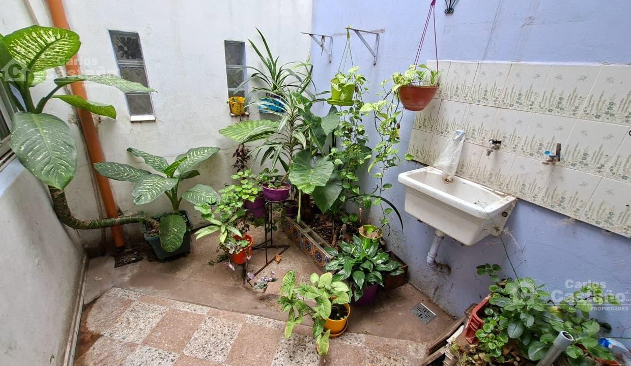 7485651_15250514716019281535281738476146899861372470627857878296526012775546073158051