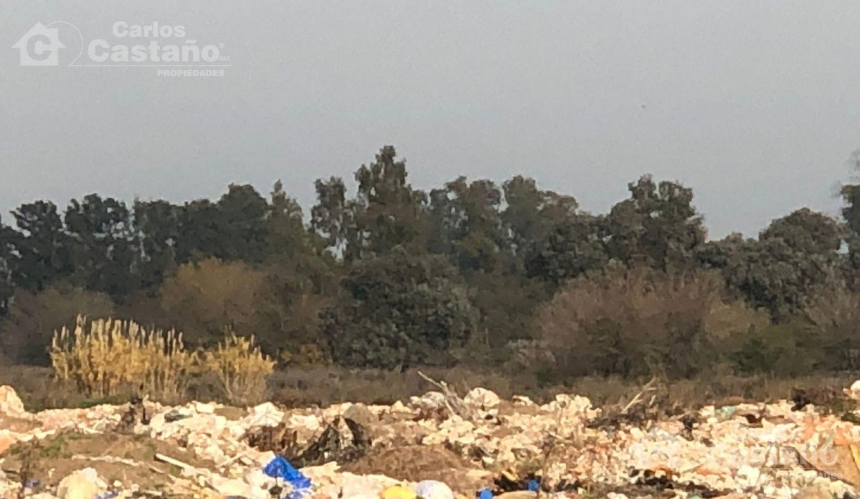 7516336_42232849609718195888477911706858039005534689739318072532412935936920527975351