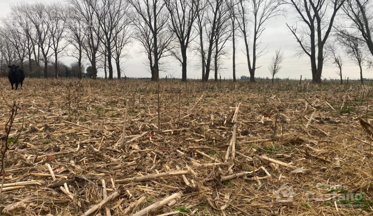 7549666_42930352833546407564132405139962011395984095116221511275095532374216321188298