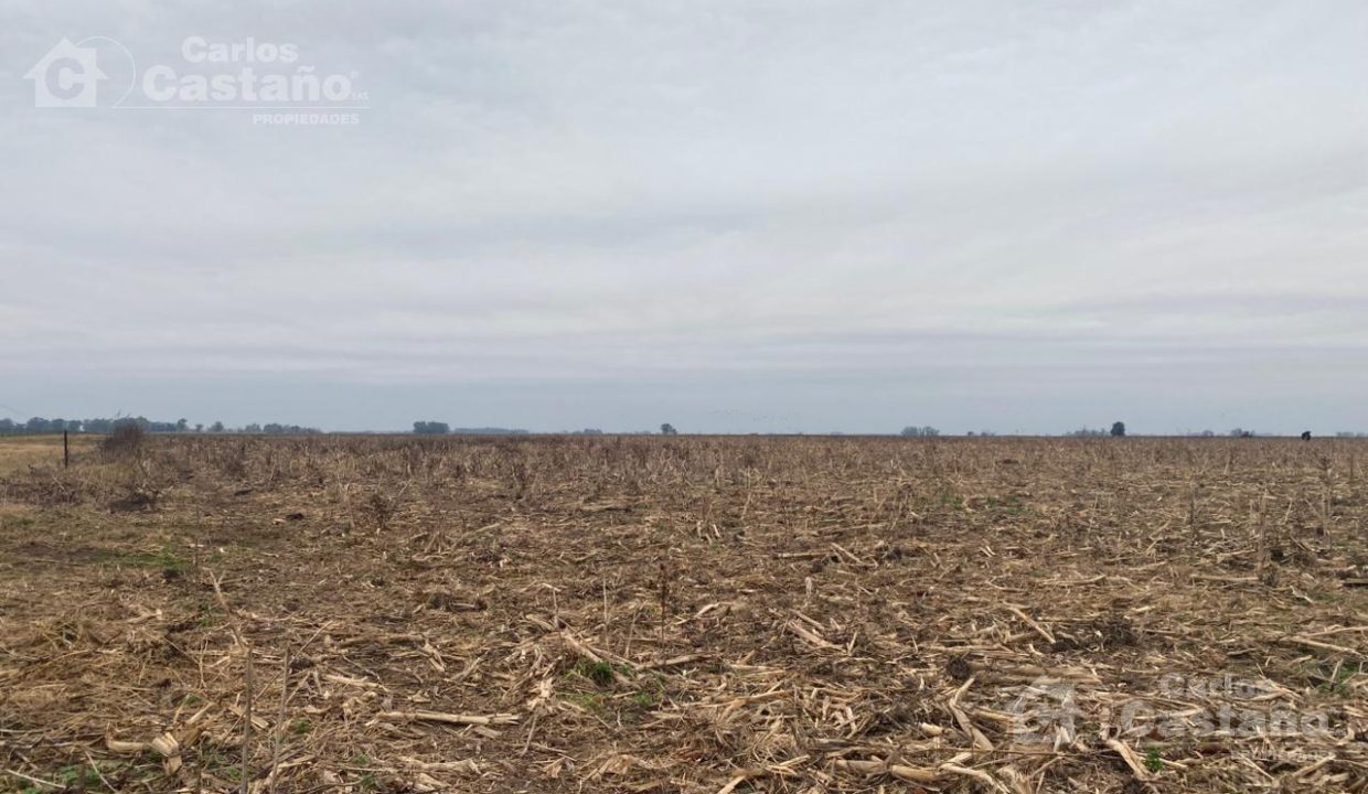 7549666_45896251303939784825967846522257601115639751316161061418107072159713616476137