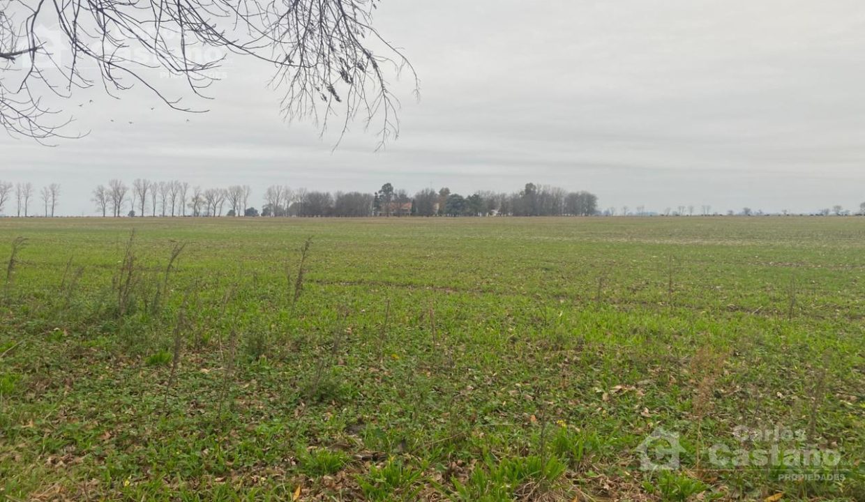 7549666_74494800537375952489206150735454543635100659841891529518833923566384754904558