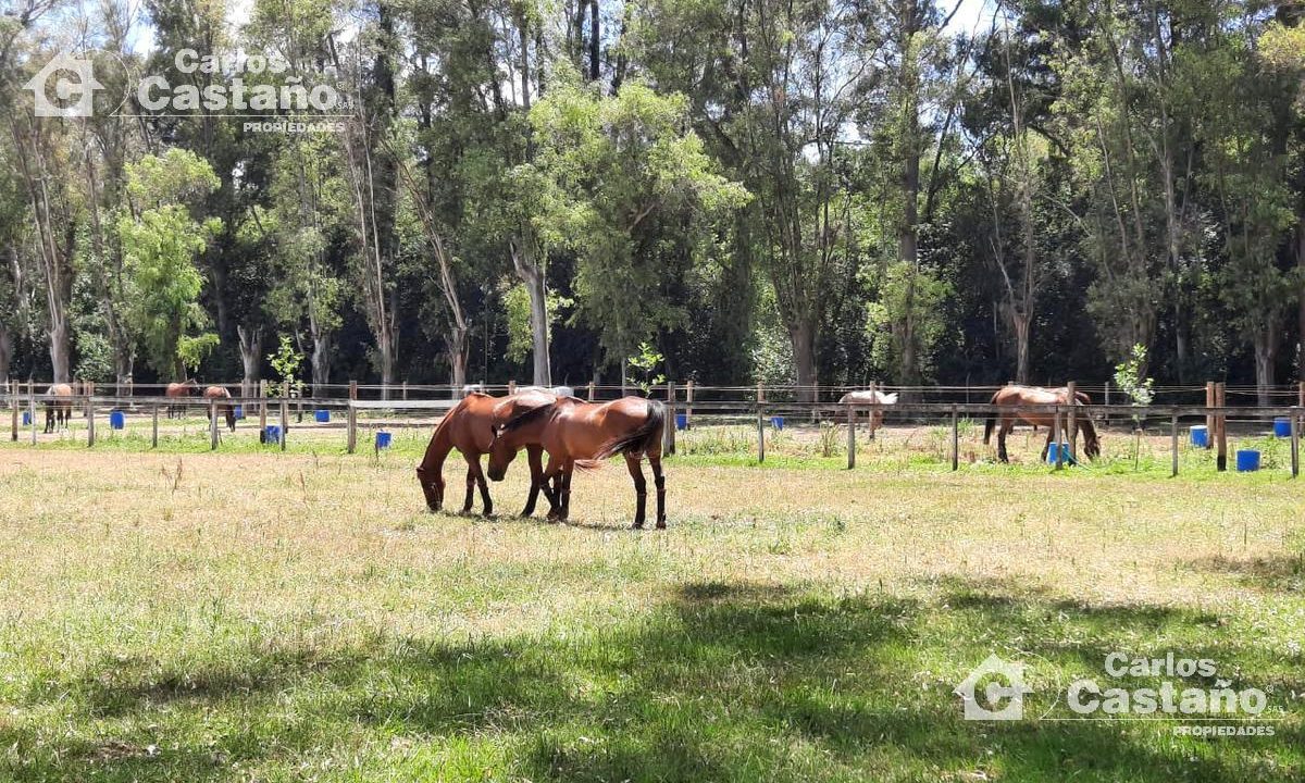 788436627054632142329836576627435938251590661670033178276544970802084115845298132