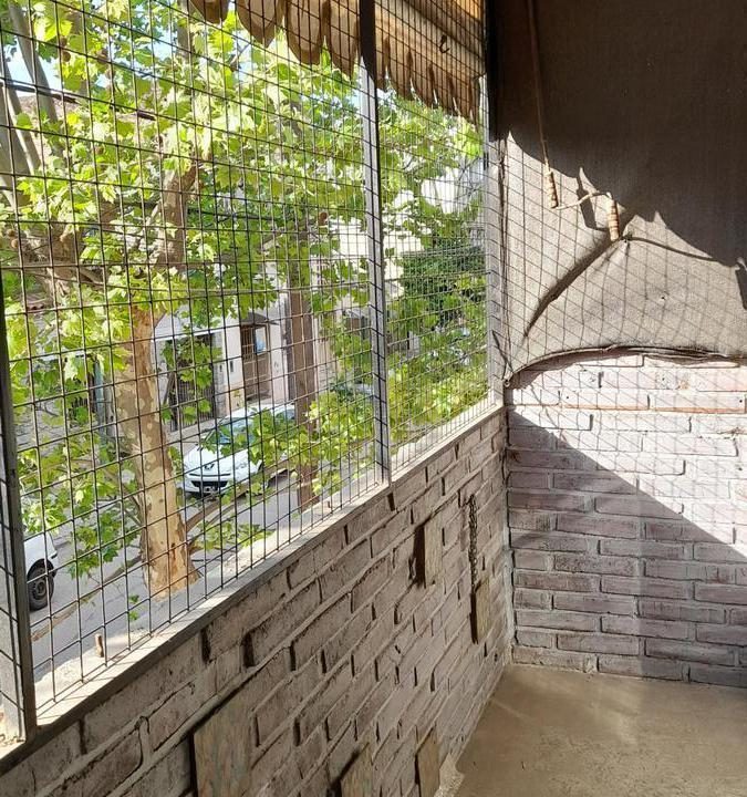 7609028_99054890025722074300657283701011822397170065471038680199447955787246329911168