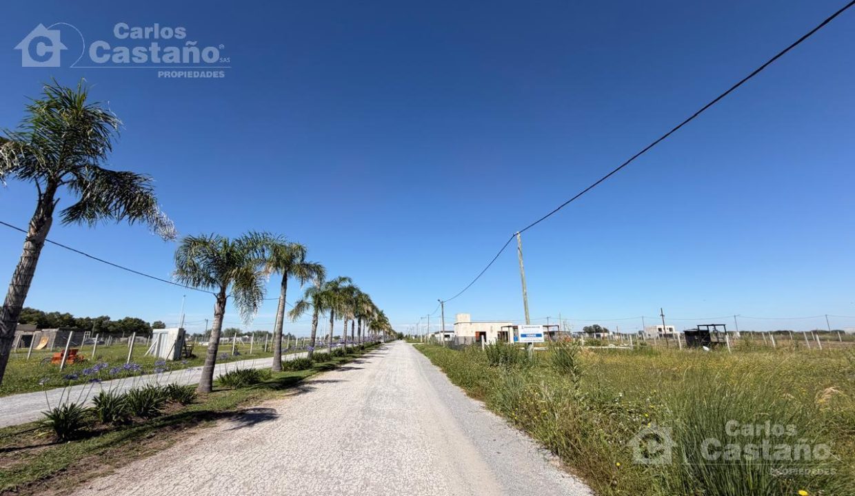 7615382_63627428651936779781574689357481449313935777416912066259448788147230272108222