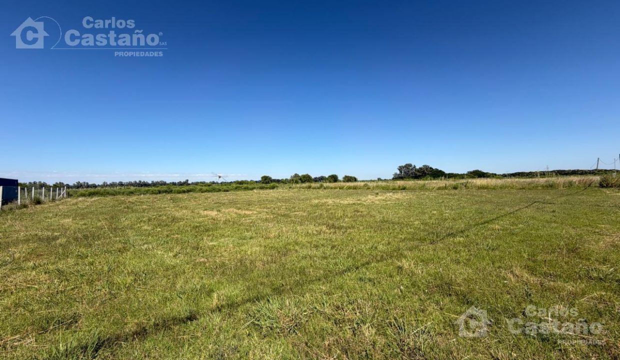 7615382_81828193015231927129953164637744706645149762288213082049728796506492157002963