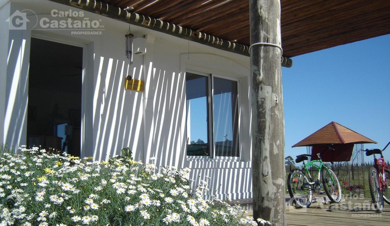 7857304_47888056279537128623231317234966867523377961938988059051018684113982029744479